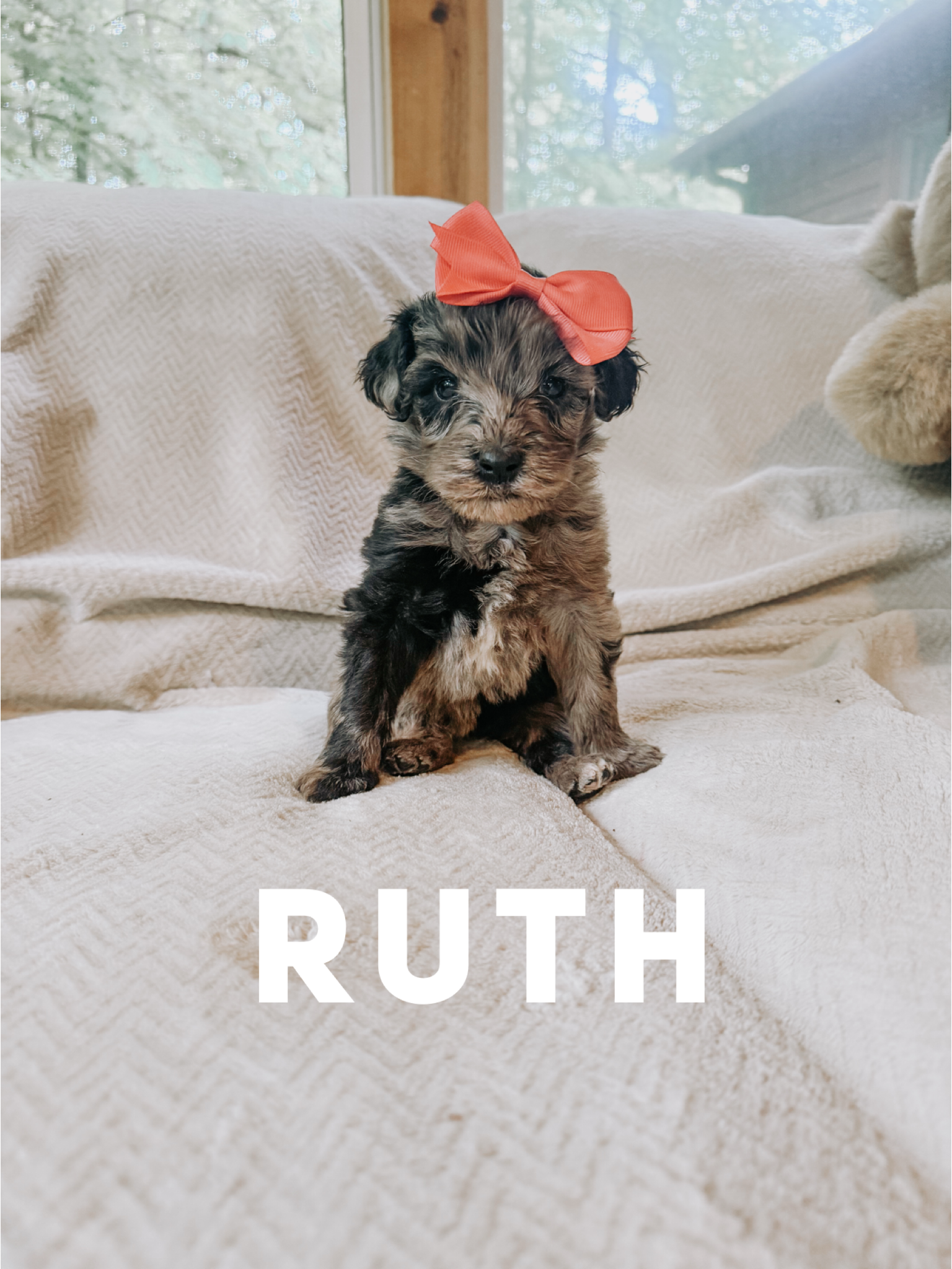 Ruth 1